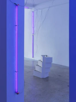 milieu